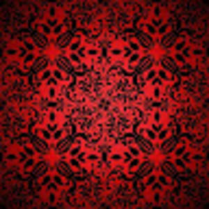 Meet your Posher, Kiara